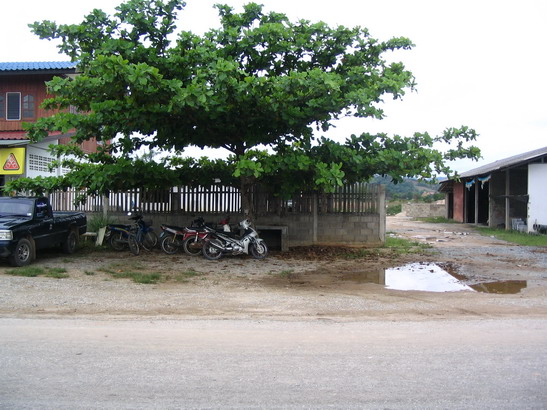 Photo by :: มานิตย์