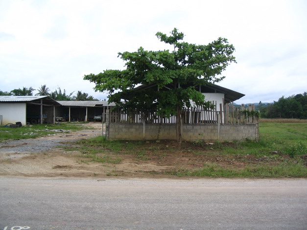 Photo by :: มานิตย์