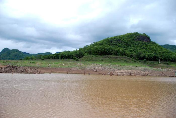 Photo by :: ����ǧ