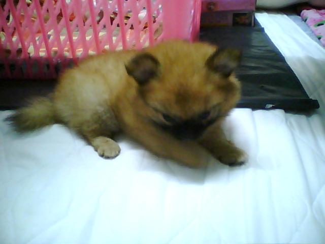 Photo by :: ��������