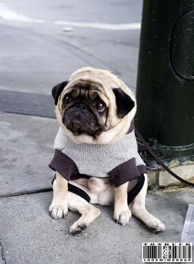 Photo by :: �����