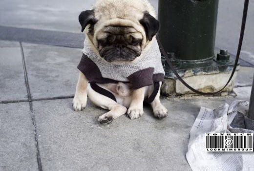 Photo by :: �����