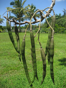 Photo by :: �����