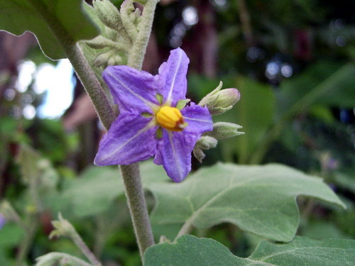 Photo by :: �����⢧