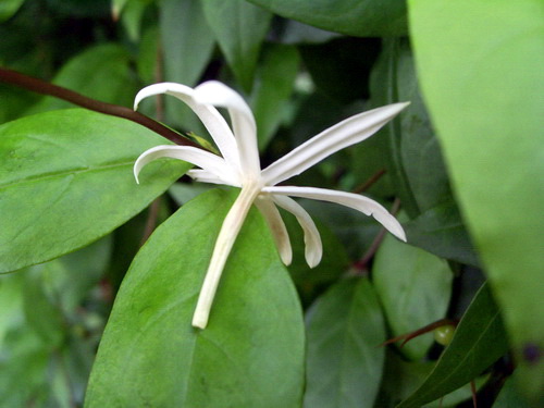 Photo by :: �����⢧