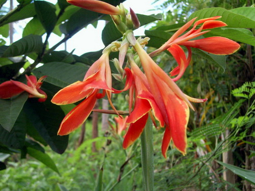 Photo by :: �����⢧