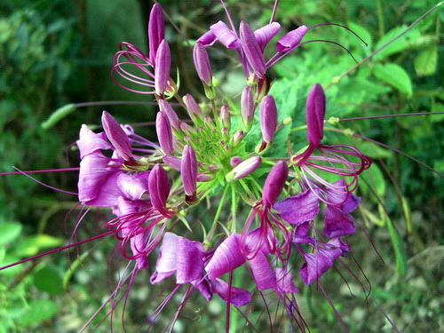 Photo by :: �����⢧