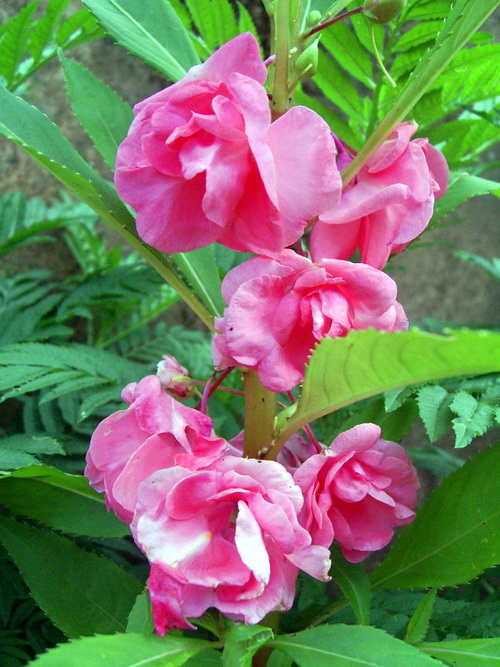 Photo by :: �����⢧