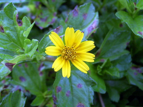 Photo by :: �����⢧