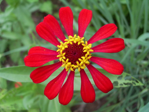 Photo by :: �����⢧