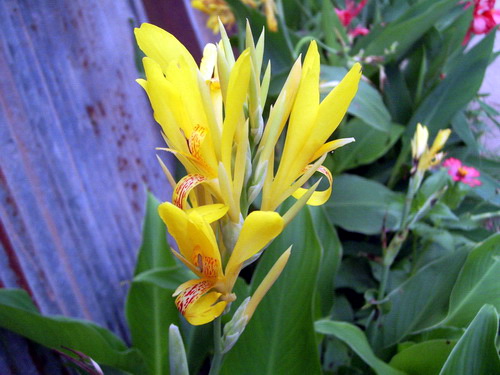 Photo by :: �����⢧