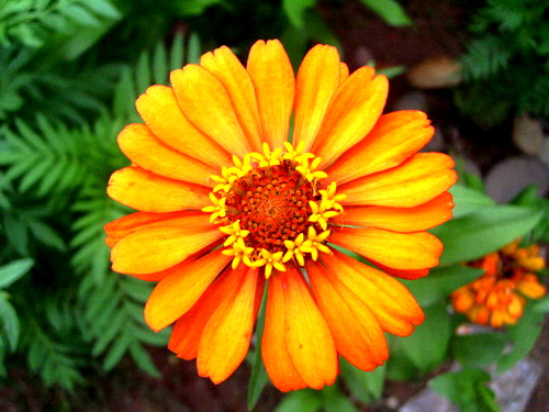 Photo by :: �����⢧