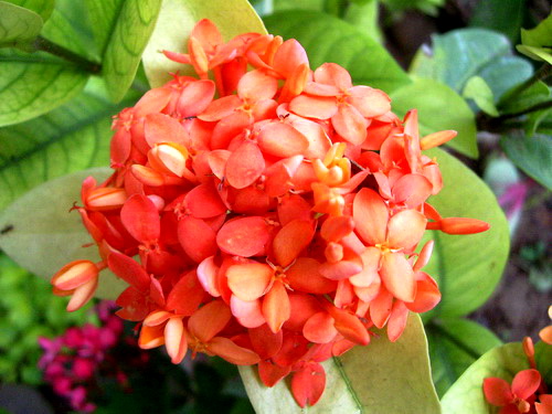 Photo by :: �����⢧