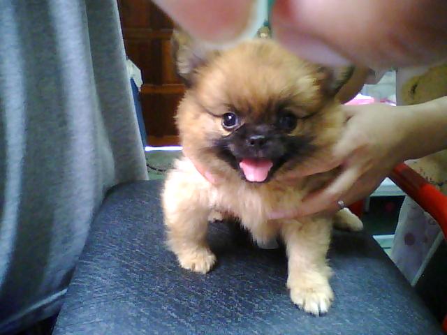 Photo by :: ��������