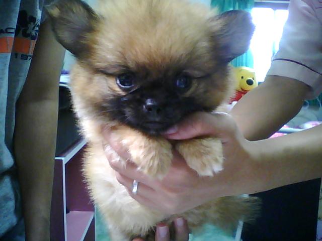 Photo by :: ��������