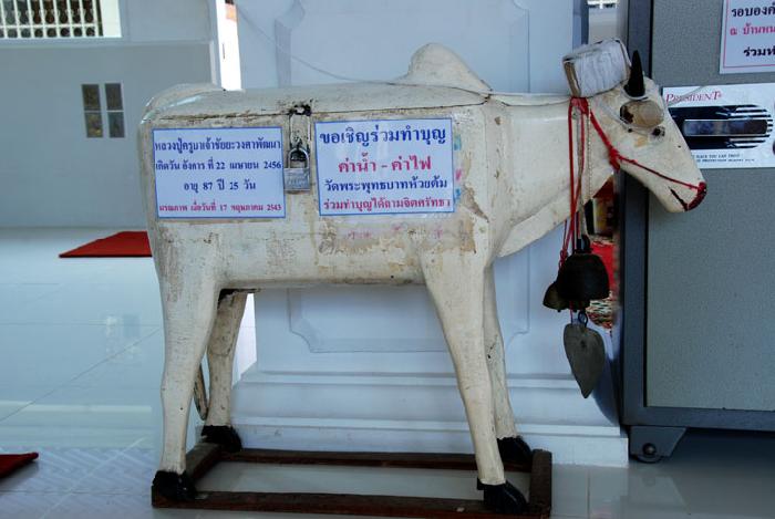 Photo by :: ����ǧ