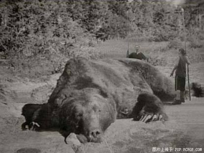 Photo by :: วันนา