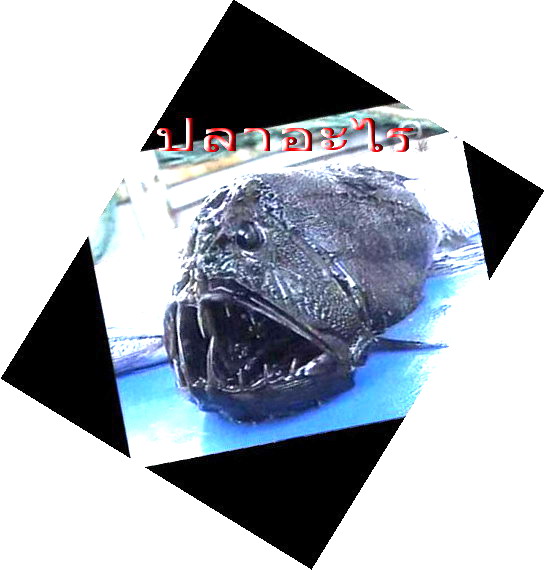 Photo by :: วันนา