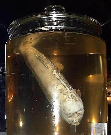 Photo by :: ก๋ำบี้น้อย