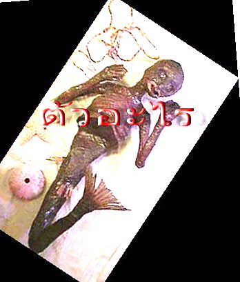 Photo by :: วันนา