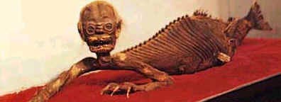 Photo by :: วันนา