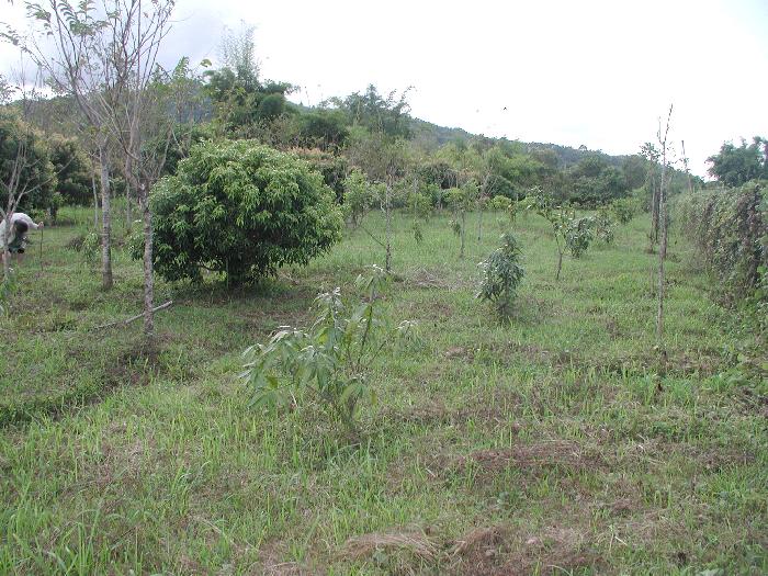 Photo by :: �����ش  �آ���