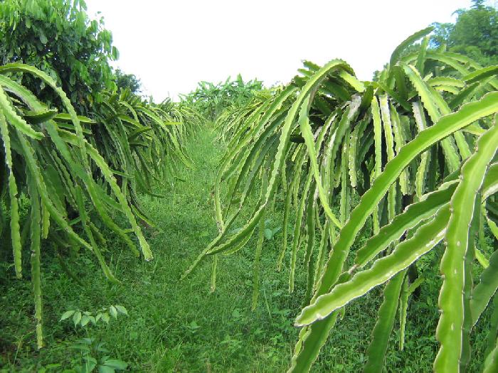 Photo by :: �.˹�