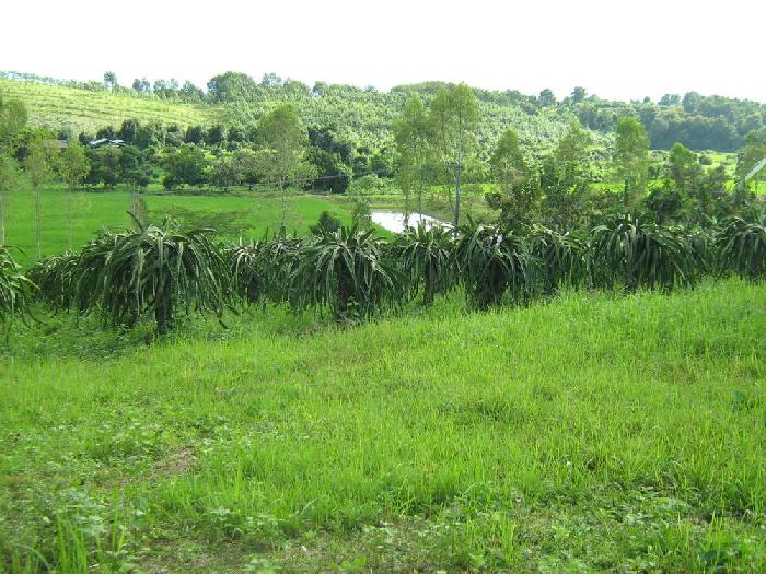 Photo by :: �.˹�