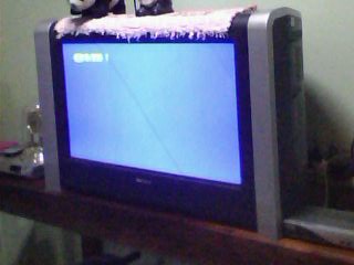 Photo by :: ���