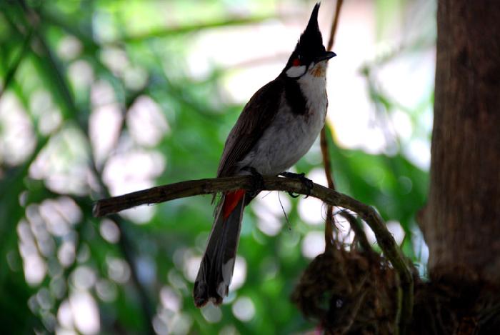 Photo by :: ����ǧ