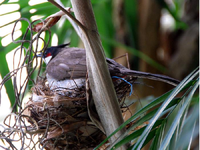 Photo by :: ����ǧ