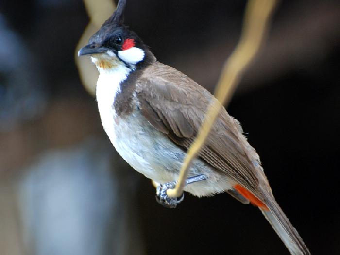 Photo by :: ����ǧ