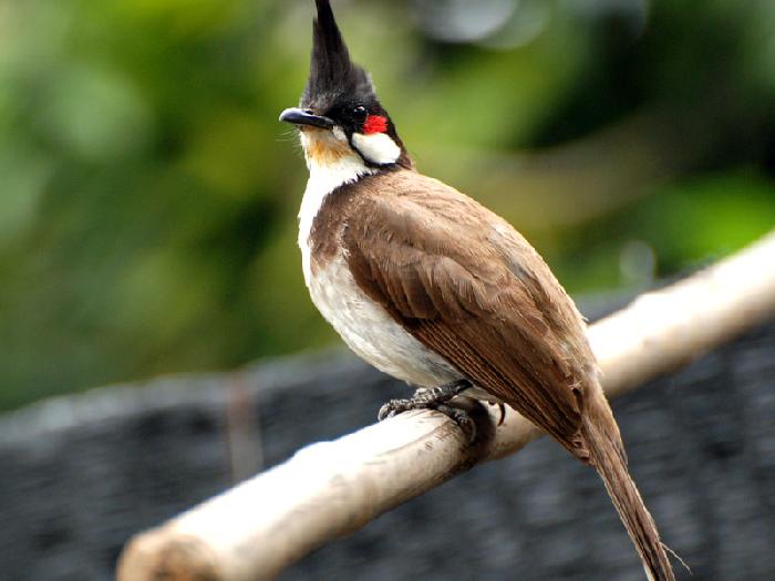 Photo by :: ����ǧ