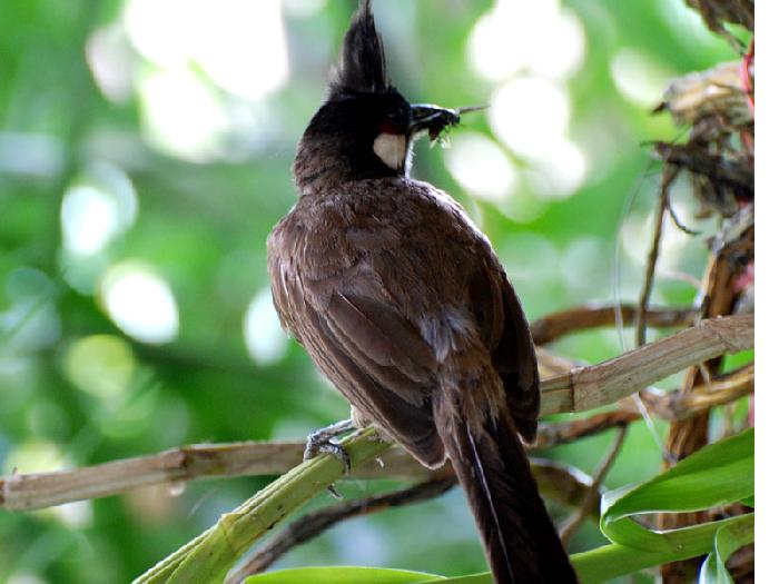 Photo by :: ����ǧ