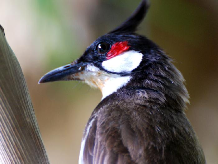 Photo by :: ����ǧ