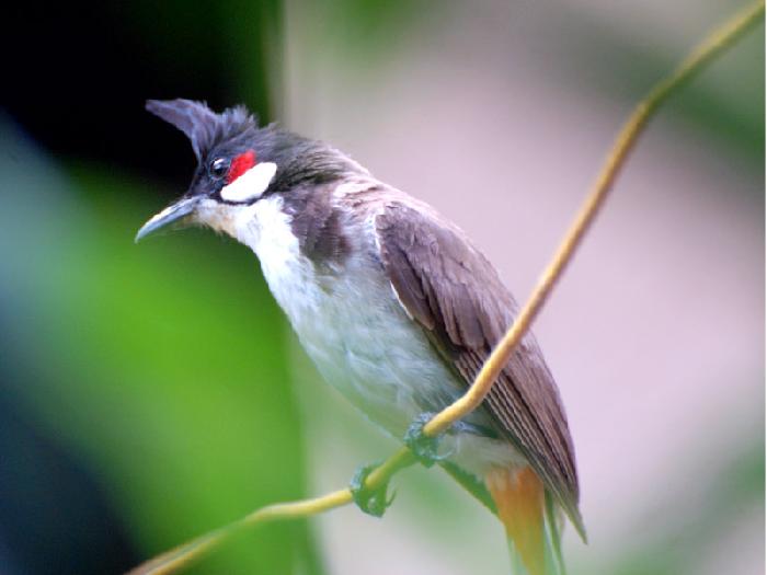 Photo by :: ����ǧ