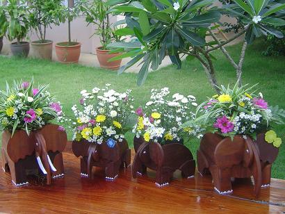 Photo by :: พงษ์