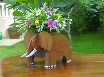 Photo by :: พงษ์