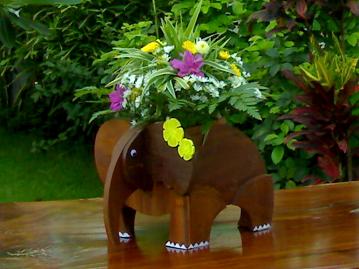 Photo by :: พงษ์