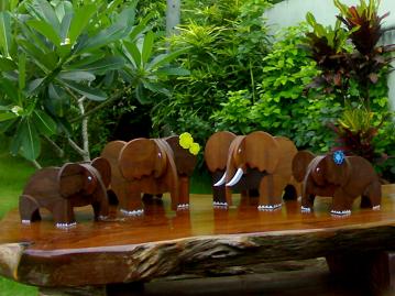 Photo by :: พงษ์