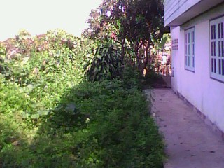 Photo by :: ����