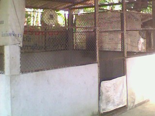 Photo by :: ����