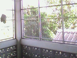 Photo by :: ����