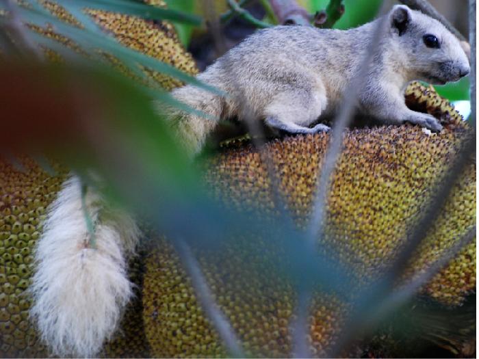 Photo by :: ����ǧ