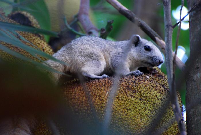 Photo by :: ����ǧ