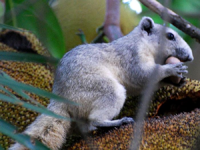 Photo by :: ����ǧ