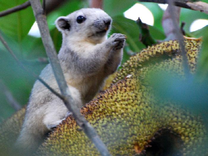 Photo by :: ����ǧ