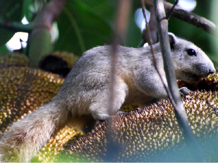 Photo by :: ����ǧ