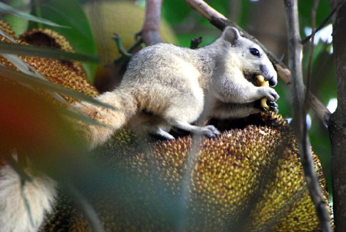 Photo by :: ����ǧ