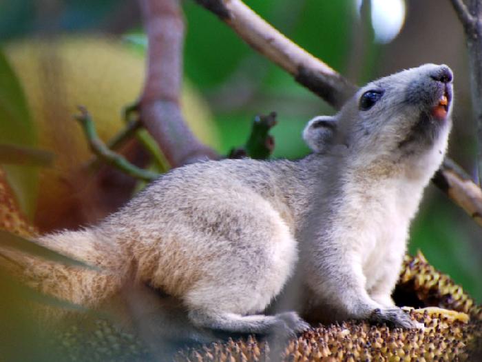 Photo by :: ����ǧ